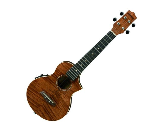 Hovedbilde Ibanez UEW15E OPN Concert Ukulele m/ mikrofon